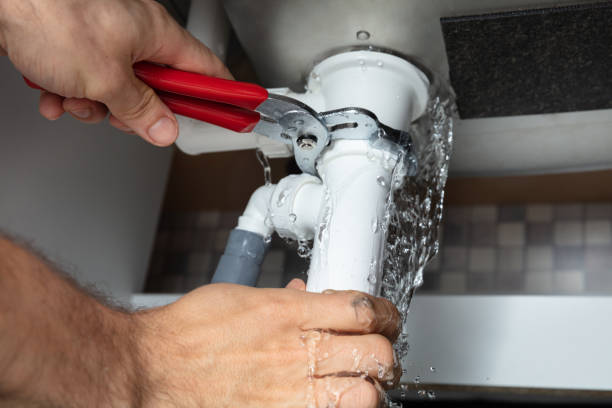 Best Flood damage cleanup  in Kelso, WA