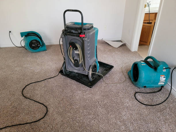 Best Sewage cleanup and water damage restoration  in Kelso, WA
