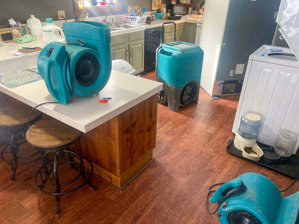 Best Residential water damage restoration  in Kelso, WA