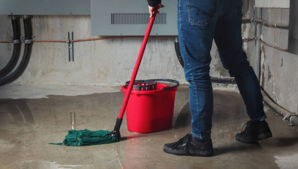Best Water damage cleanup near me  in Kelso, WA