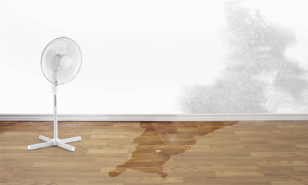 Best Water damage restoration insurance claims  in Kelso, WA