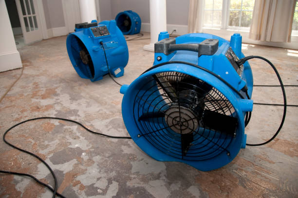 Best 24/7 water damage repair  in Kelso, WA