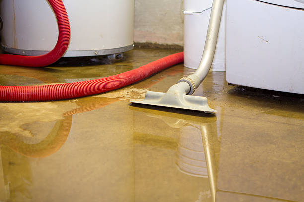 Best Flood damage cleanup  in Kelso, WA