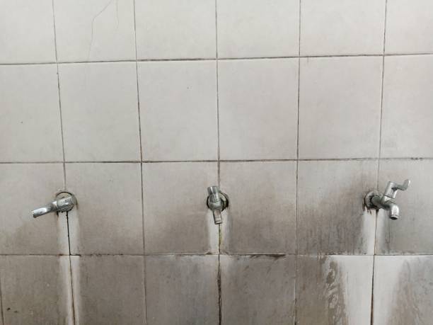 Best Water damage restoration near me  in Kelso, WA