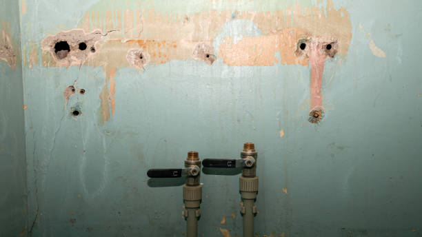 Best Water damage mitigation services  in Kelso, WA