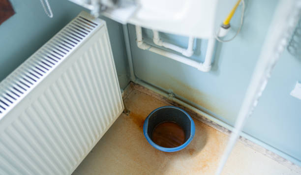 Best Professional water damage repair  in Kelso, WA