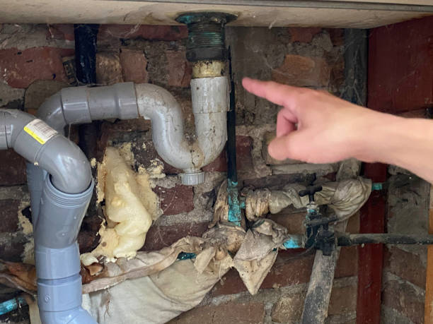 Carpet water damage restoration in Kelso, WA