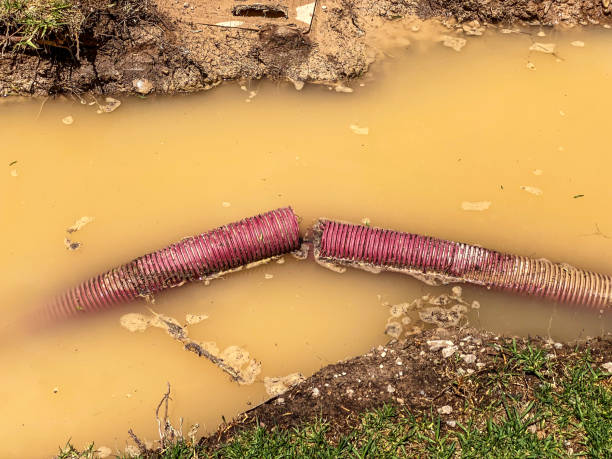  Kelso, WA Water damage restoration Pros